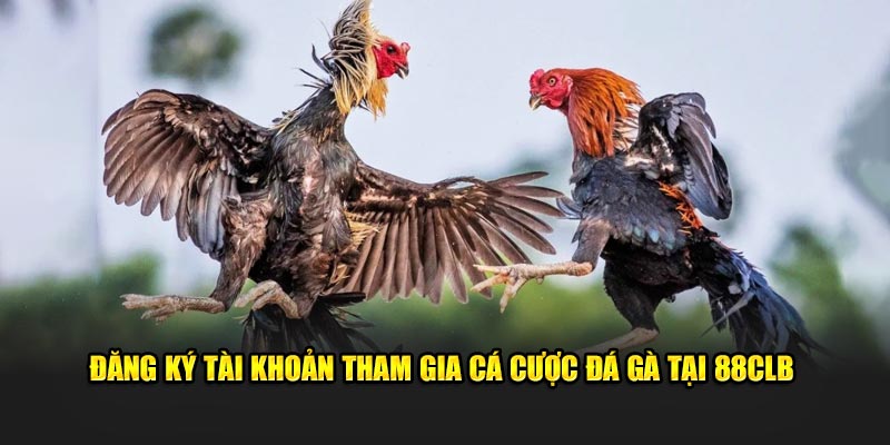 Đăng ký tài khoản tham gia cá cược đá gà tại 88CLB